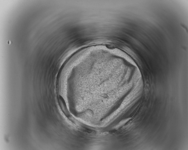 X0000100211055200806201440