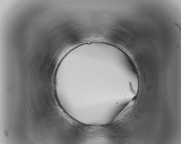 X0000100211056200806201440