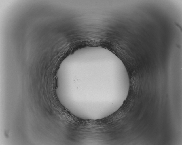 X0000100211057200806201440