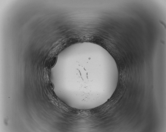 X0000100211058200806201440