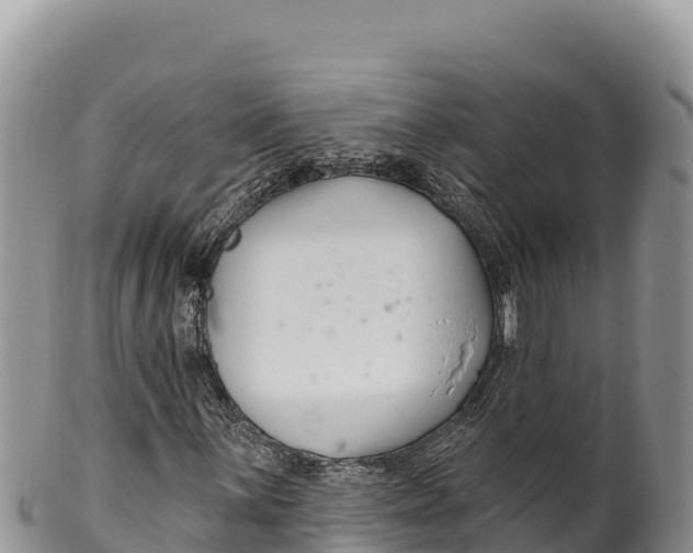 X0000100211059200806201440