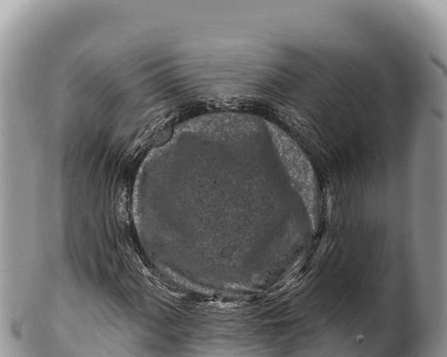 X0000100211060200806201440