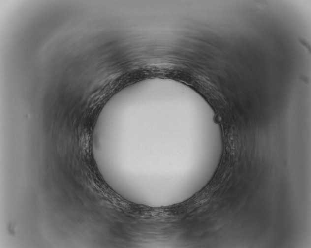 X0000100211061200806201440