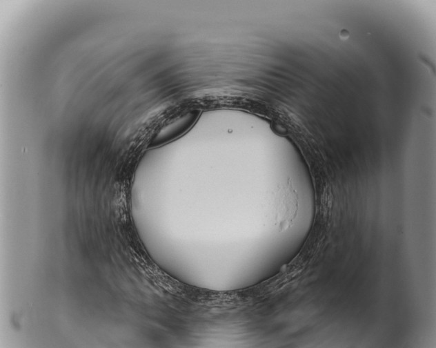 X0000100211062200806201440