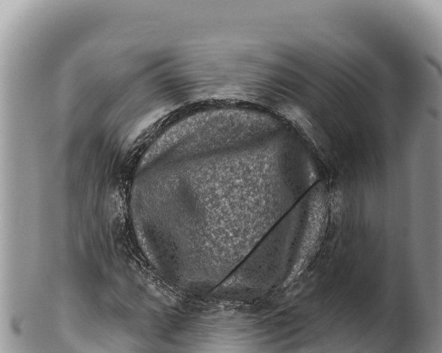 X0000100211064200806201440