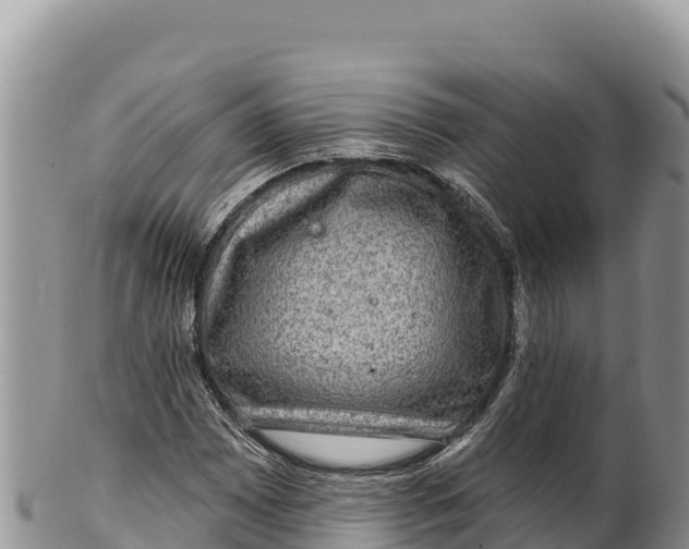 X0000100211065200806201440