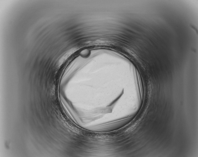 X0000100211066200806201440