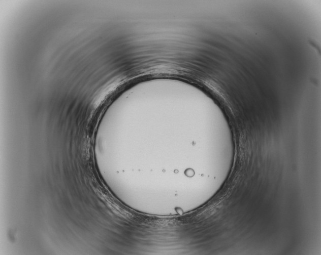 X0000100211067200806201440