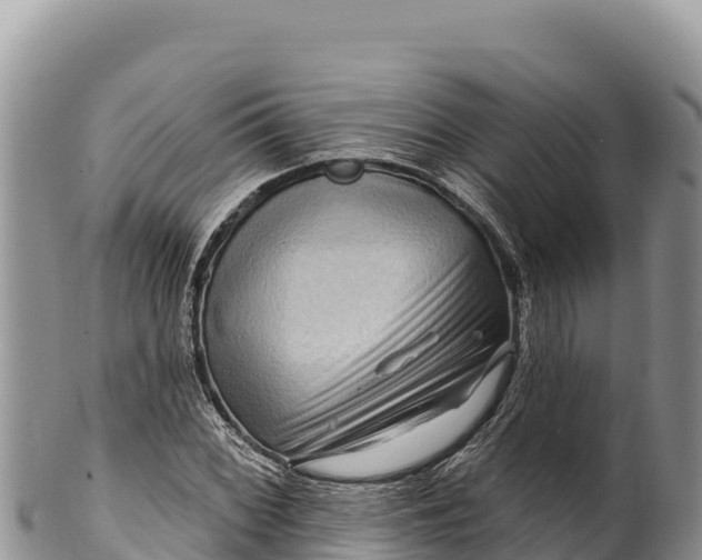 X0000100211068200806201440