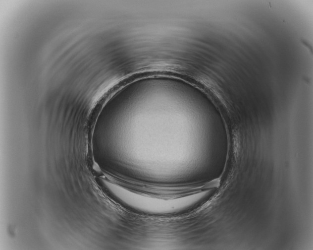 X0000100211069200806201440