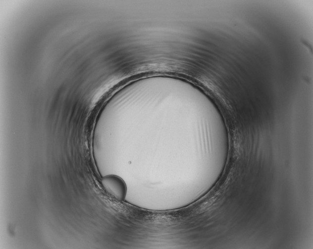 X0000100211070200806201440