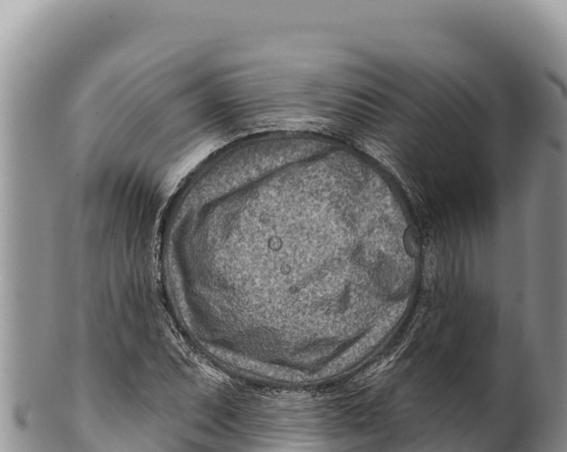 X0000100211071200806201440