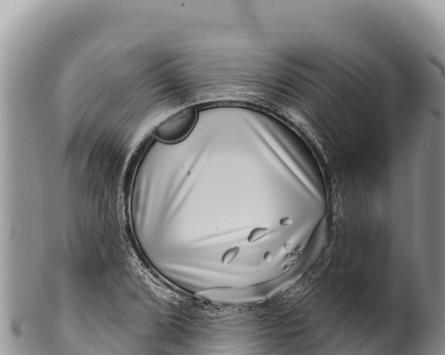 X0000100211072200806201440