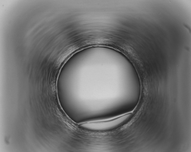 X0000100211073200806201440