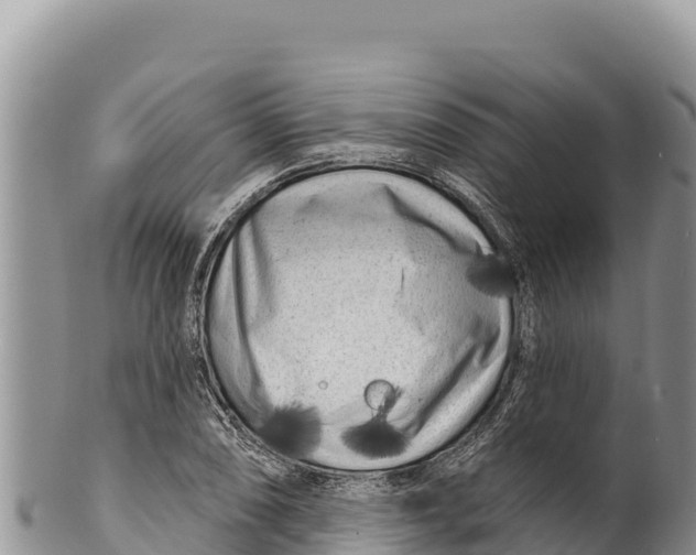 X0000100211074200806201440