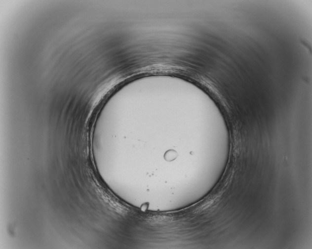 X0000100211075200806201440