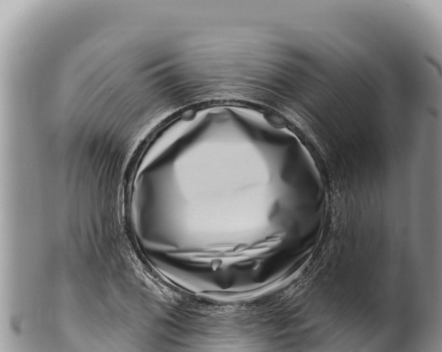 X0000100211076200806201440