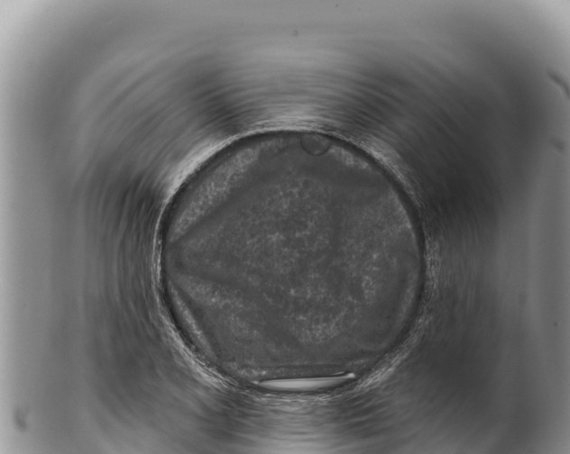 X0000100211077200806201439