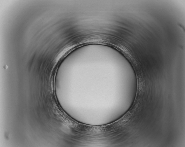 X0000100211078200806201439