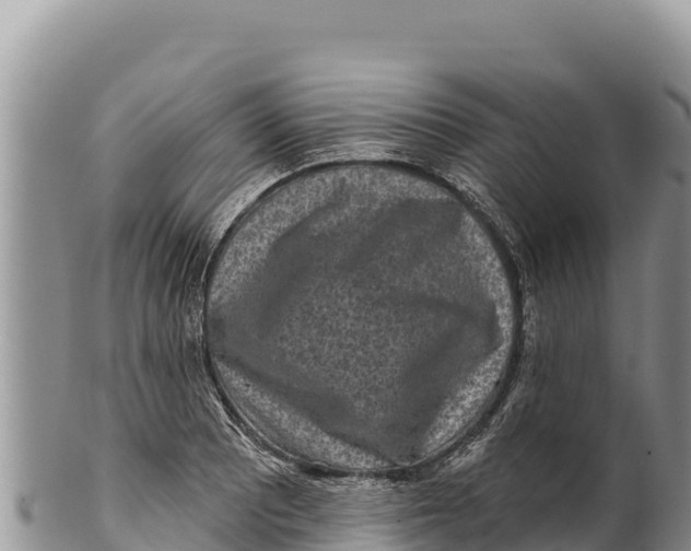 X0000100211081200806201439