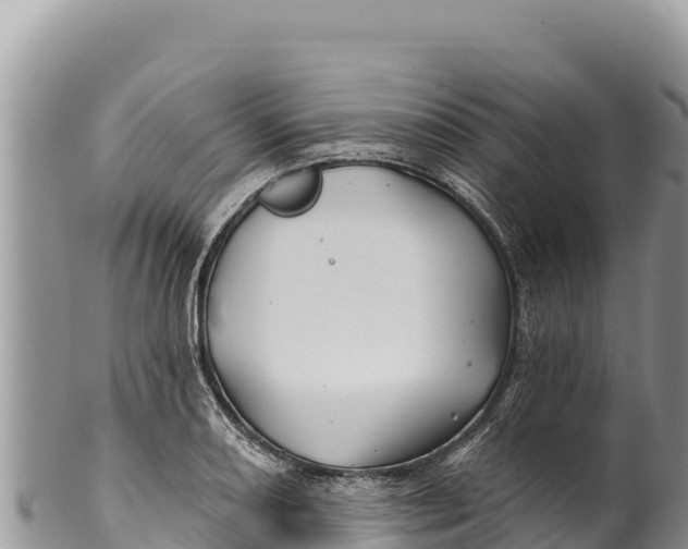 X0000100211082200806201439