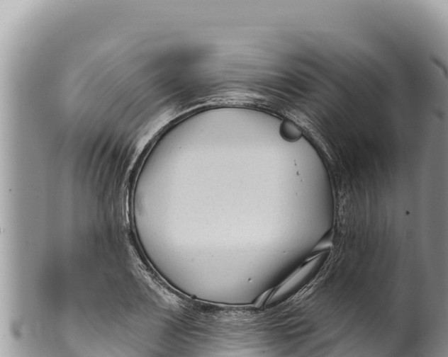 X0000100211083200806201439