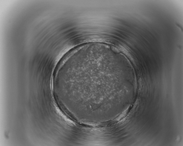 X0000100211084200806201439