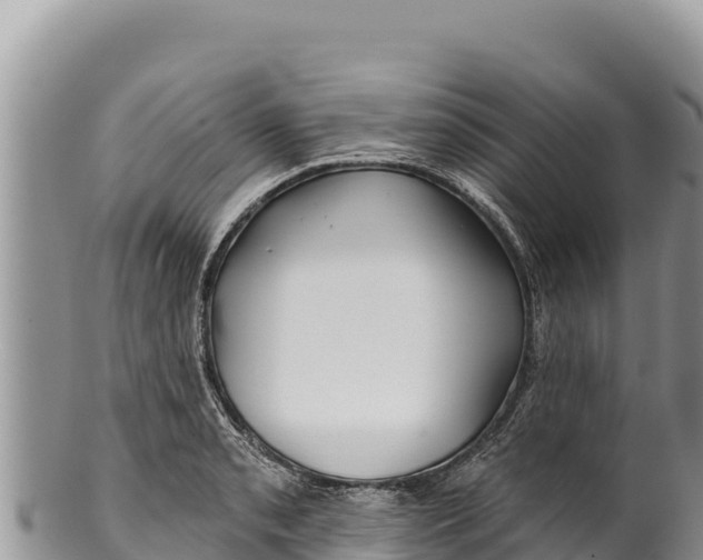 X0000100211085200806201439