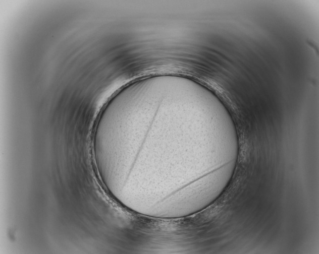 X0000100211086200806201439