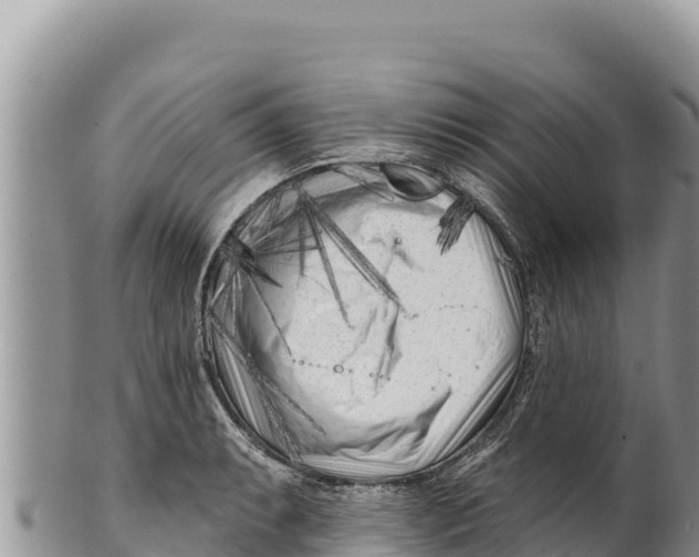 X0000100211087200806201439