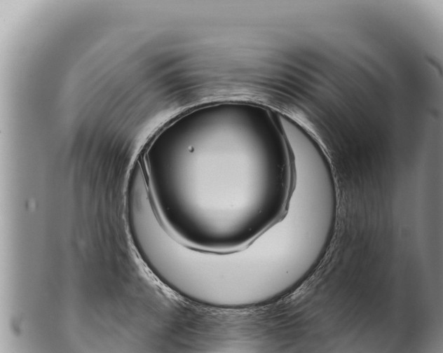 X0000100211088200806201439