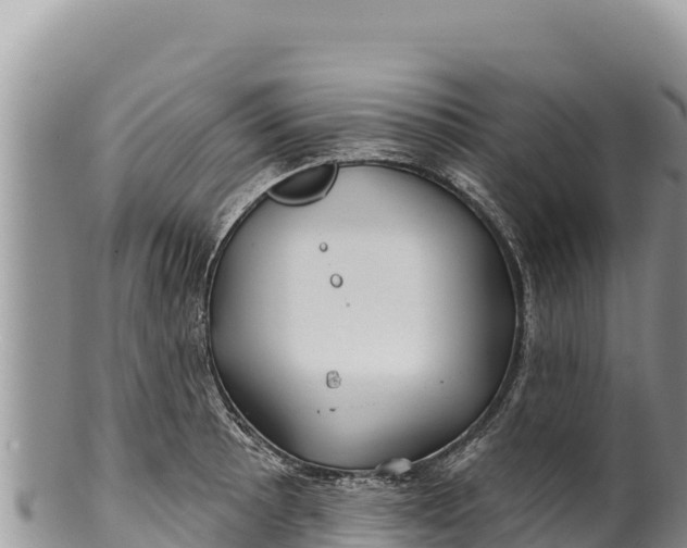 X0000100211089200806201439