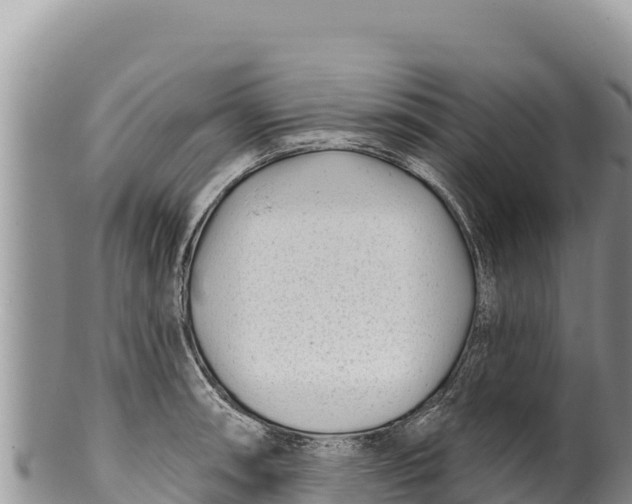 X0000100211090200806201439