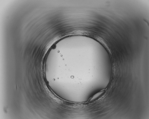 X0000100211091200806201439