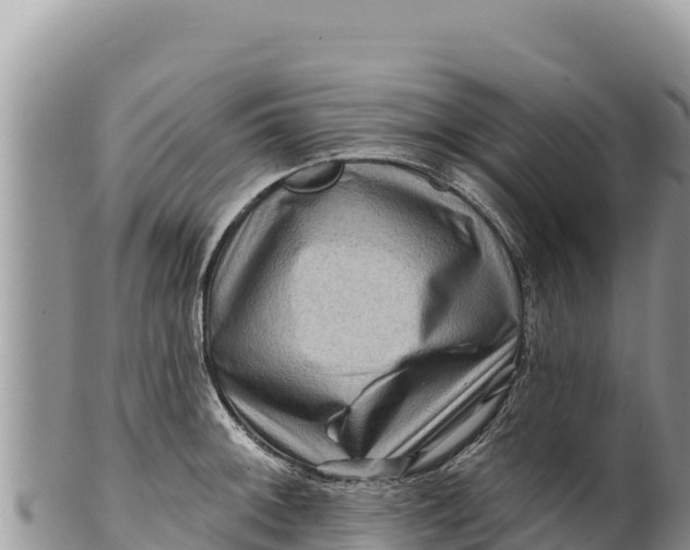 X0000100211092200806201439