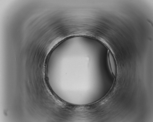 X0000100211093200806201439