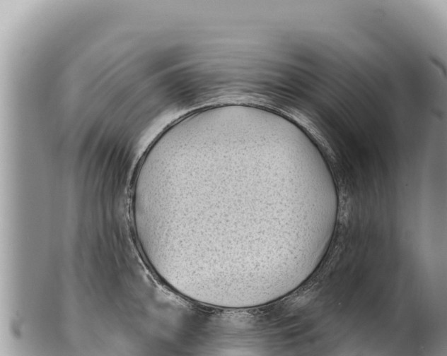 X0000100211094200806201439