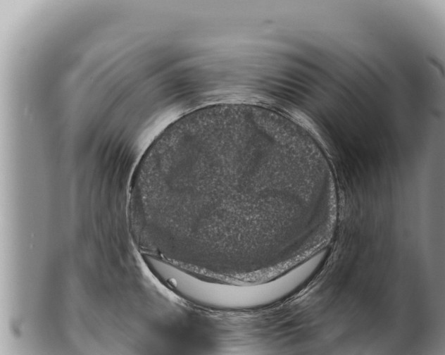 X0000100211095200806201439