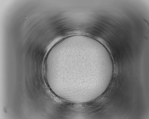 X0000100211098200806201439