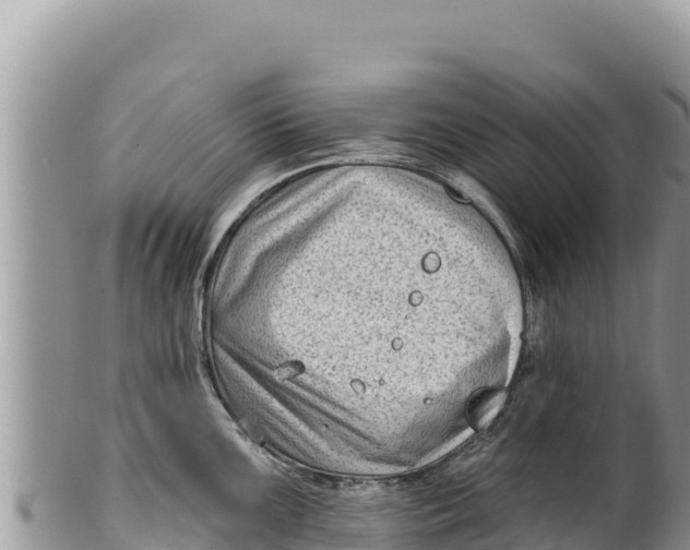 X0000100211099200806201439