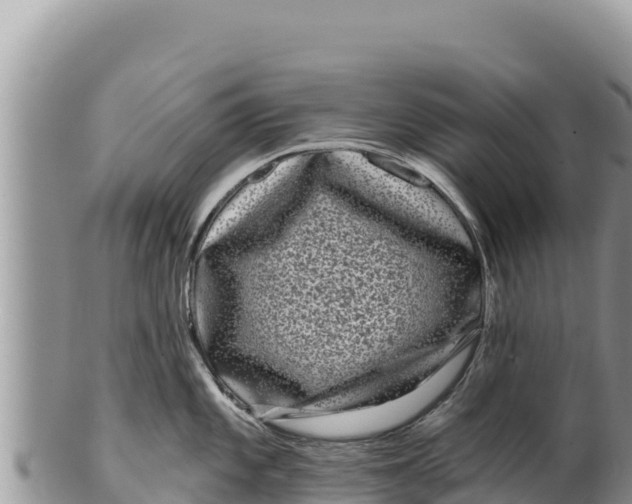 X0000100211101200806201439