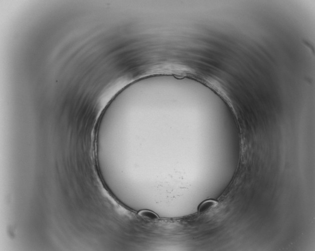 X0000100211103200806201439