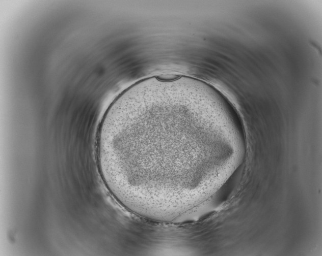 X0000100211104200806201439