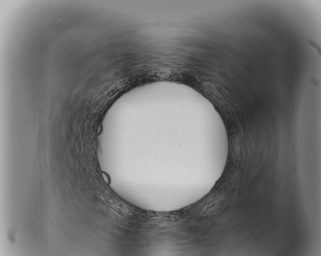 X0000100211105200806201438