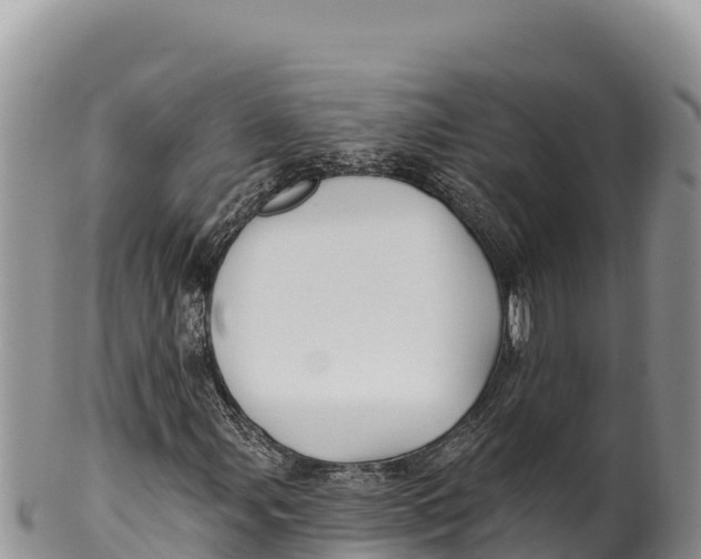 X0000100211107200806201438