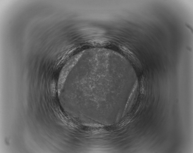 X0000100211108200806201438