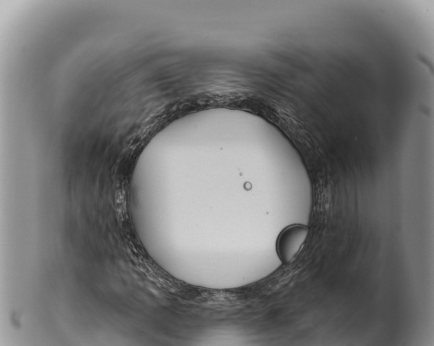 X0000100211109200806201438