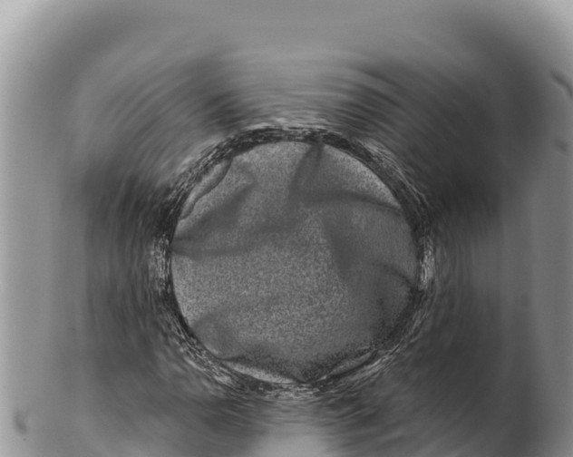 X0000100211110200806201438