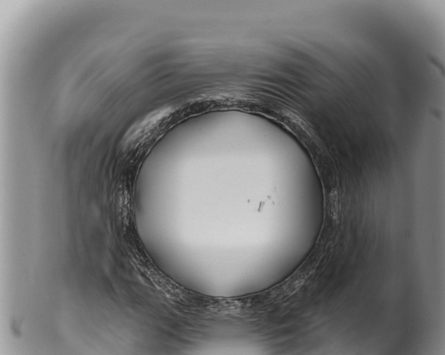 X0000100211111200806201438