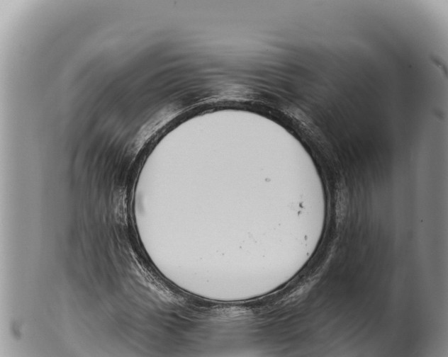 X0000100211113200806201438